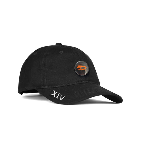 Dad hat   Pins